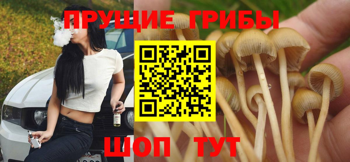 Псилоцибиновые грибы MAGIC MUSHROOMS  Вход с VPN  Зима 