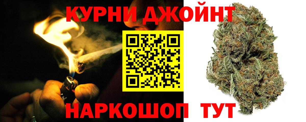 Бошки марихуана гибрид  Бошки Шишки OG Kush  Зима  Канабис семена  Вход с VPN 